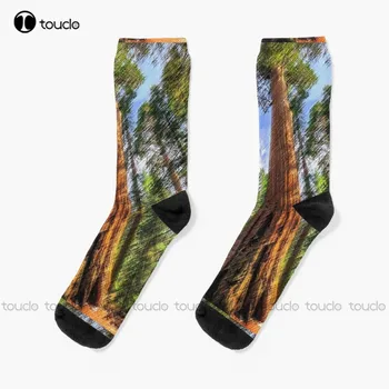 Извисяващ се Redwood Tree Пейзажна живопис от Jeanpaul Ferro Чорапи Смешни чорапи за жени Унисекс възрастни тийнейджърски младежки чорапи