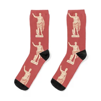 Статуята на Август Чорапи чорапи памук сладък чорапи готини чорапи Дизайнер Мъж Чорапи Дамски