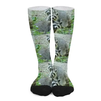 Три миещи мечки чорапи Дамски компресионни чорапи за жени